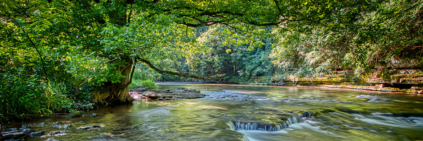 Safe, clean waterways