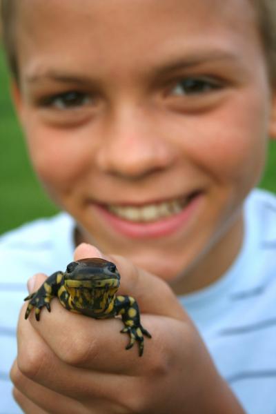 Boy holding salamander