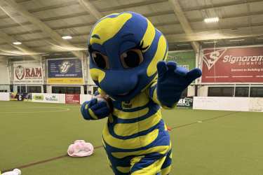 Mandy the Salamander