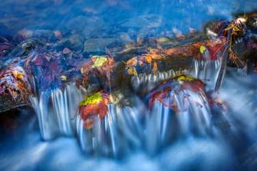 A close-up photo of water running in a local stream