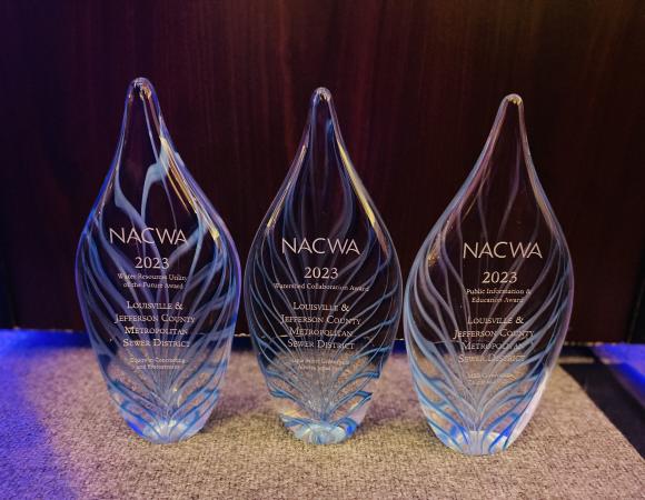 Teardrop shaped glass awards